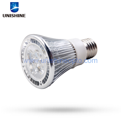 LED PAR20 Light